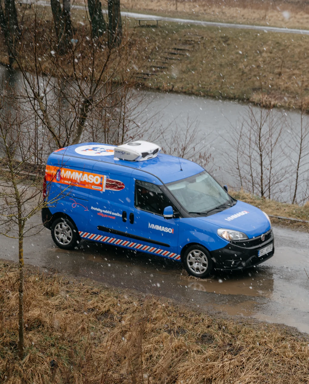 Krávy pasoucí se na louce